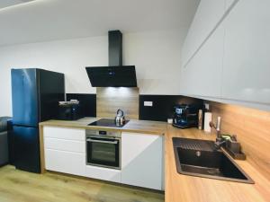 a kitchen with white appliances and a black refrigerator at Apartmány DOME in Doksy