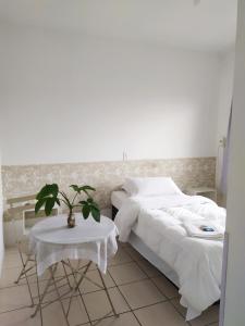 a bedroom with a bed and a table with a plant at Hotel Norte Blu in Blumenau +17 photos