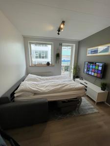 En TV eller et underholdningssystem på Saga Apartments Akureyri