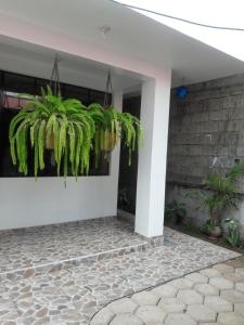 Imagen de la galería de Suzet House, en Oxapampa