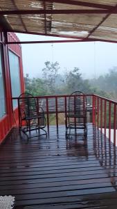 two benches sitting on a deck with a view of trees at Mandala House Container in Chapada dos Guimarães