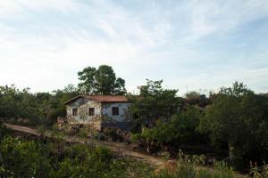 uma casa velha no meio de um campo em Hostel Portal do Pati em Andaraí