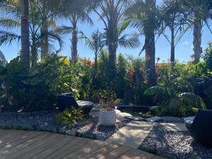 Gallery image of Palm Garden Papamoa Beach Paradise in Papamoa