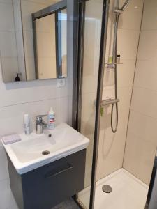 a bathroom with a sink and a shower at Das Herzchen von Cochem in Cochem