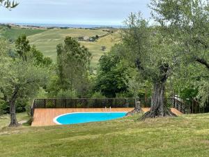 una piscina en un campo con un árbol en Locanda Belvedere, en Saludecio