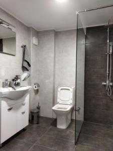 A bathroom at Grey Sense Luxury Apartment