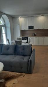 ein Wohnzimmer mit einem Sofa und einer Küche in der Unterkunft Jaukūs apartamentai centre in Šiauliai