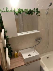 La salle de bains est pourvue d'un lavabo et d'un miroir. dans l'établissement Nice to stay, à Visaginas