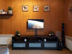 TV o dispositivi per l'intrattenimento presso Chalet Ardennais 240 - La Boverie - Rendeux