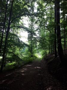 Paesaggio naturale nelle vicinanze dello chalet