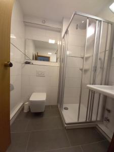 a bathroom with a shower and a toilet at Seeappartement Sorpeglück in Sundern