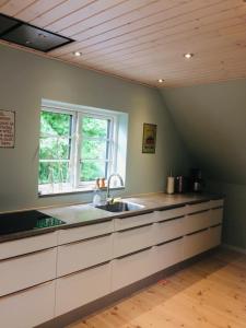 Kuchyň nebo kuchyňský kout v ubytování Billund Holiday - Assengaard B & B + 37 fotografií