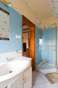 ein Badezimmer mit Waschbecken und Glasdusche in der Unterkunft Zagroda Chłopska in Gosław + 70 Fotos