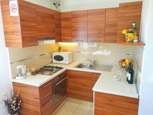 Virtuvė arba virtuvėlė apgyvendinimo įstaigoje Apartments Kola