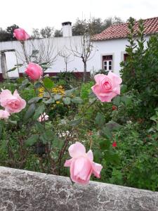 a group of pink roses in a garden at Casa Hozani in Albarrol