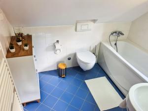 a bathroom with a toilet and a tub and a sink at Juliana Apartment Bohinj Lake in Bohinj