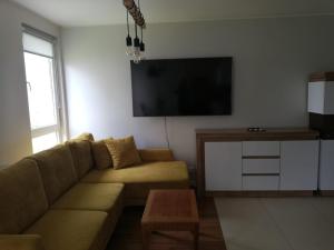 Televízia a/alebo spoločenská miestnosť v ubytovaní Sanshiro apartment