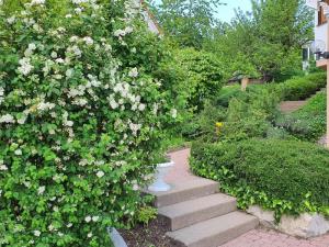 a garden with a staircase with flowers and a bush at Biosphärenzimmer Bad Urach in Bad Urach