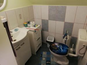 a bathroom with a blue toilet and a sink at Paun in Koprivnica