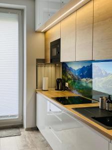 Kuchnia lub aneks kuchenny w obiekcie Apartament Rodzinny Centrum Zakopane