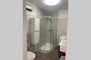 a bathroom with a shower and a toilet at COSY LIVING in Huningue +20 photos
