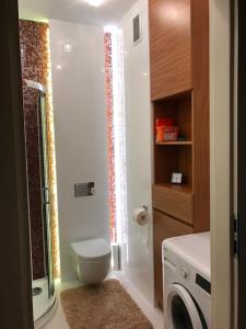 a bathroom with a toilet and a washing machine at Apartament Hania - Krynica Morska in Krynica Morska