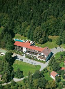 ツヴィーゼルにあるHotel Bavariaの山の建物の空中