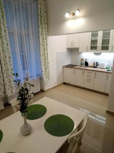 eine Küche mit einem Tisch und einer Vase darauf in der Unterkunft Dolina Apartman in Eger