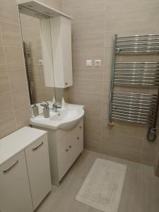 Kúpeľňa v ubytovaní Dolina Apartman