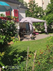 a backyard with a gazebo and a chair under a tent at Colmar chambre privée chez l'habitant , près de l'hôpital Pasteur et gare in Colmar