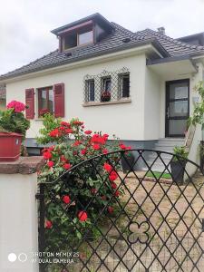 Biały dom z czerwonymi kwiatami przed nim w obiekcie Colmar chambre privée chez l'habitant , près de l'hôpital Pasteur et gare w mieście Colmar