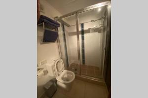 W łazience znajduje się toaleta i przeszklony prysznic. w obiekcie Cozy self-contained unit surrounded by nature w mieście Goonellabah