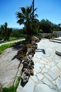 kamienny chodnik z doniczkami i palmą w obiekcie Villa Feggari w mieście Makry Gialos