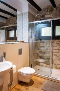 a bathroom with a shower and a toilet and a sink at Ca la Cinta de Maldà in Maldá +26 photos