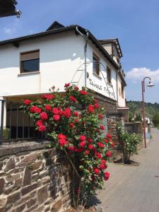 un edificio con flores rojas delante de él en Altes Weingut Bröhl, en Hatzenport