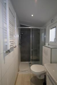 a bathroom with a shower with a toilet and a sink at 11-stedenchalet Hindeloopen - Nr. 47 in Molkwerum