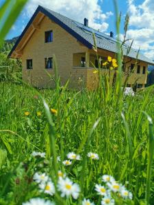 ein Haus inmitten eines Blumenfeldes in der Unterkunft Living Apartment_2 in Hittisau