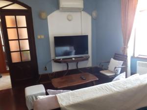 TV a/nebo společenská místnost v ubytování Apartments Sekoko
