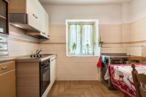 małą kuchnię ze zlewem i oknem w obiekcie Casa Sicina Alberto w mieście Valfloriana