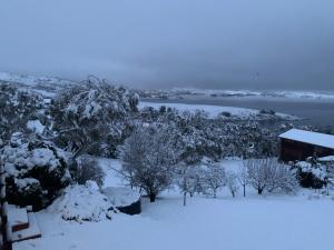 a snow covered field with trees and a body of water at House Matterhorn in Jindabyne