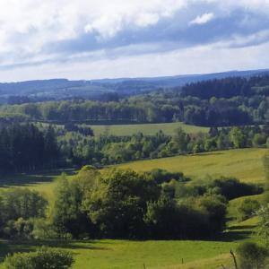 um campo verde com árvores à distância em Au doux refuge em Saint-Exupéry-les-Roches