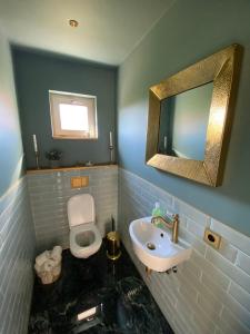een badkamer met een wastafel, een toilet en een spiegel bij Vizbules in Turaida