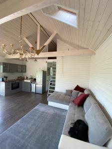 a living room with a couch and a kitchen at Vizbules in Turaida