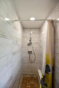 a bathroom with a shower with a shower curtain at Private house surrounded by woods and lake in Kalviškiai