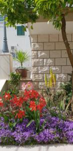Gallery image of Anita Apartments in Trogir