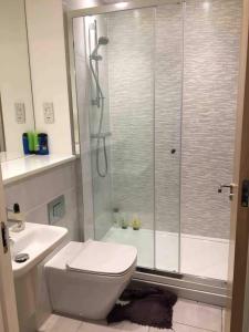 a bathroom with a shower and a toilet and a sink at Ashs Apartments in Southampton