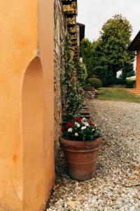 Vonkajšia záhrada v ubytovaní Tenuta San Giovanni Lucca - Borgo del Locumone