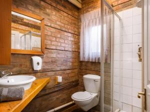 a bathroom with a toilet and a sink and a mirror at Waschbank River Lodge in Gariepdam +33 photos