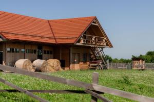 une maison avec un toit rouge dans un champ dans l'établissement Tourist Farm Firbas, à Cerkvenjak