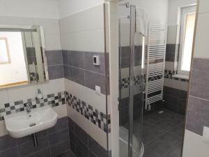 een badkamer met een wastafel en een douche bij Apartmány pod Pajrekem in Nýrsko